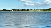 Kronsgaard